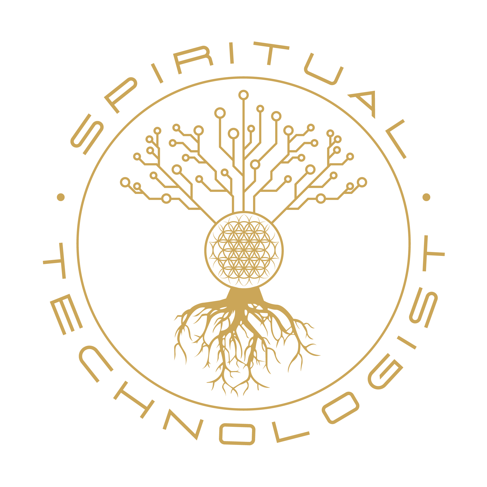 The Spiritual Technologist