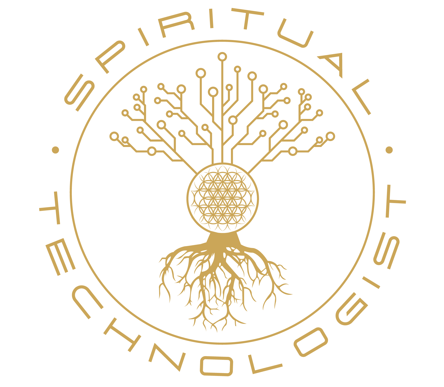 Spiritual Technologist